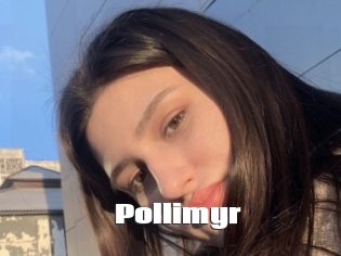 Pollimyr