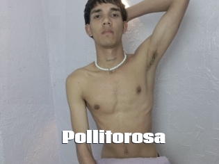 Pollitorosa