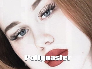 Pollynaster