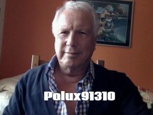 Polux91310