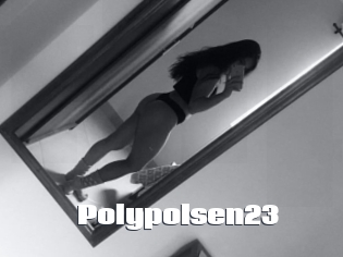 Polypolsen23