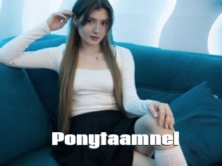Ponytaamnel