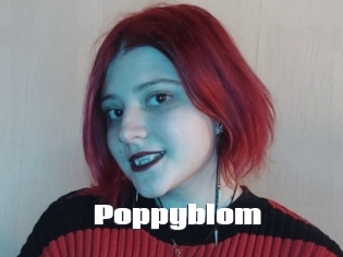 Poppyblom