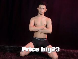 Price_big23