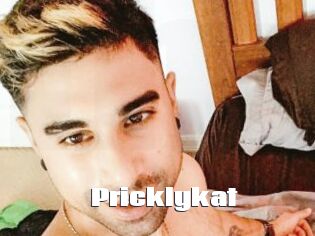 Pricklykat