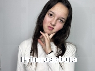 Primrosebute