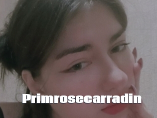 Primrosecarradin