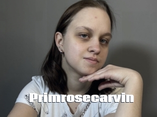 Primrosecarvin