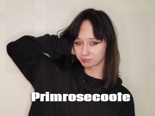 Primrosecoote