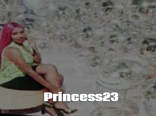 Princess23