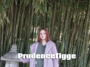 Prudencefigge