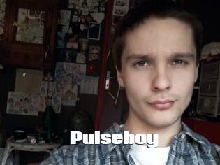 Pulseboy