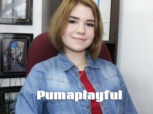 Pumaplayful