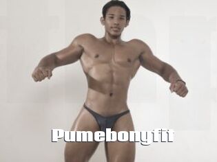 Pumebonyfit