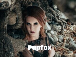 Pupfox