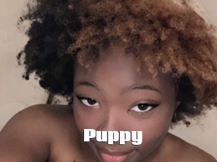Puppy