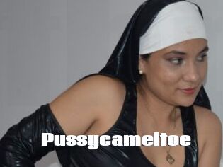 Pussycameltoe