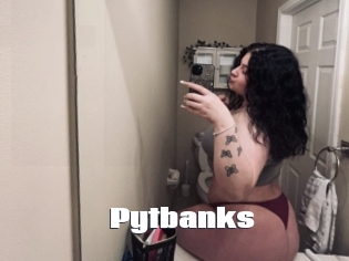 Pytbanks
