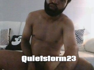 Quietstorm23