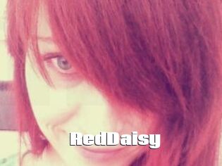 RedDaisy