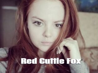 Red_Cuttie_Fox