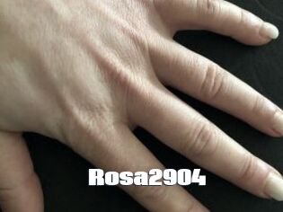 Rosa2904