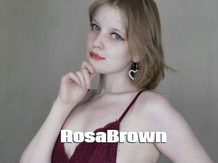 RosaBrown