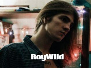 RoyWild