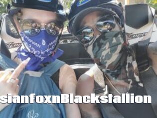 RussianfoxnBlackstallion