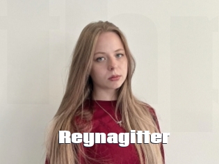 Reynagitter