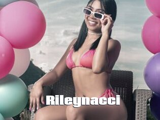 Rileynacci