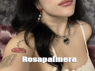 Rosapalmera