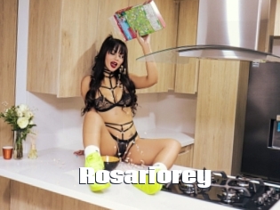 Rosariorey