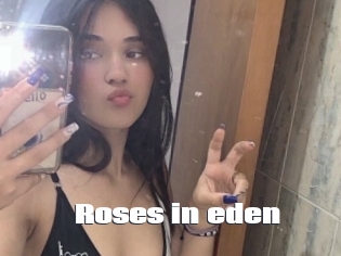 Roses_in_eden