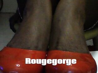 Rougegorge