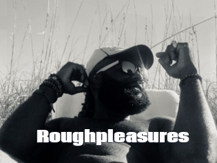 Roughpleasures