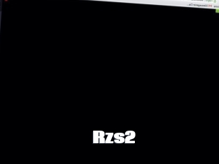 Rzs2