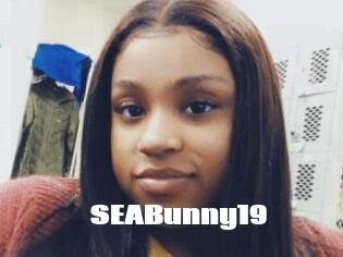 SEABunny19