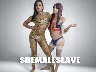 SHEMALESLAVE