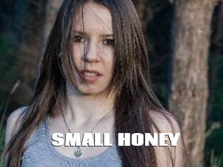SMALL_HONEY