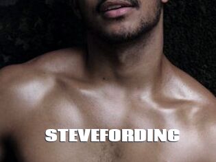 STEVEFORDINC