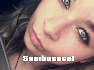 Sambucacat
