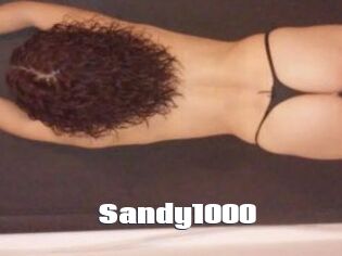 Sandy1000
