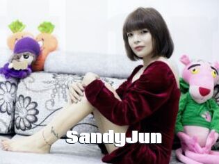 SandyJun The hot porn