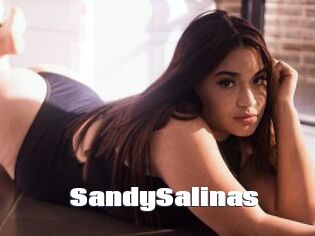 SandySalinas