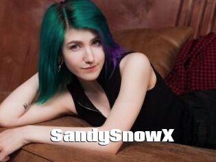 SandySnowX