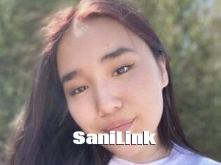 SaniLink