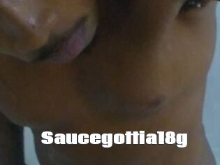 Saucegottia18g
