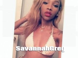 Savannah_Grey