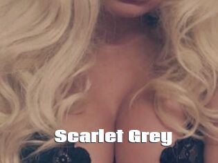 Scarlet_Grey